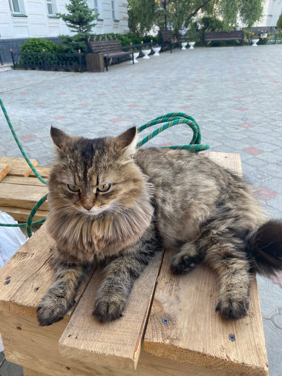 Гостиница Джузеппе Казань-228