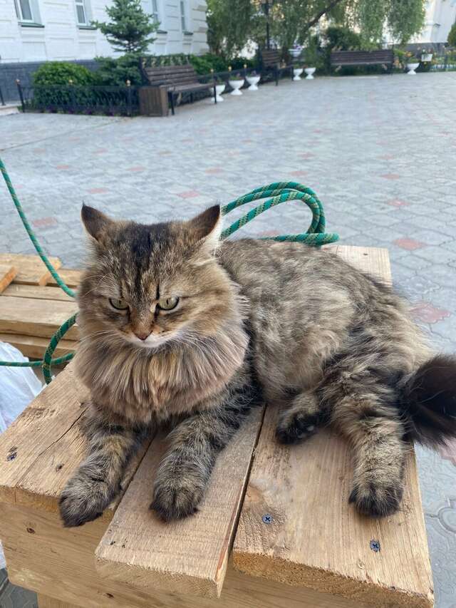 Гостиница Джузеппе Казань-227