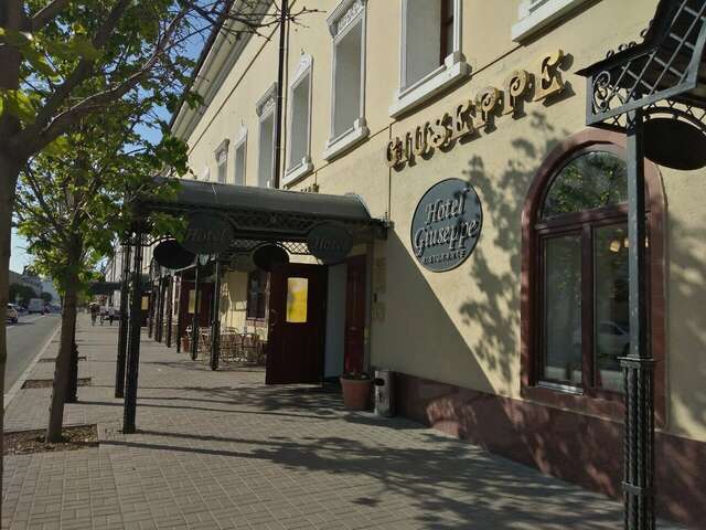 Гостиница Джузеппе Казань-56